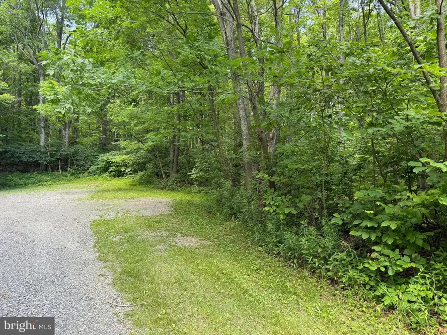 Apex Court, Swanton, MD 21561 - #2