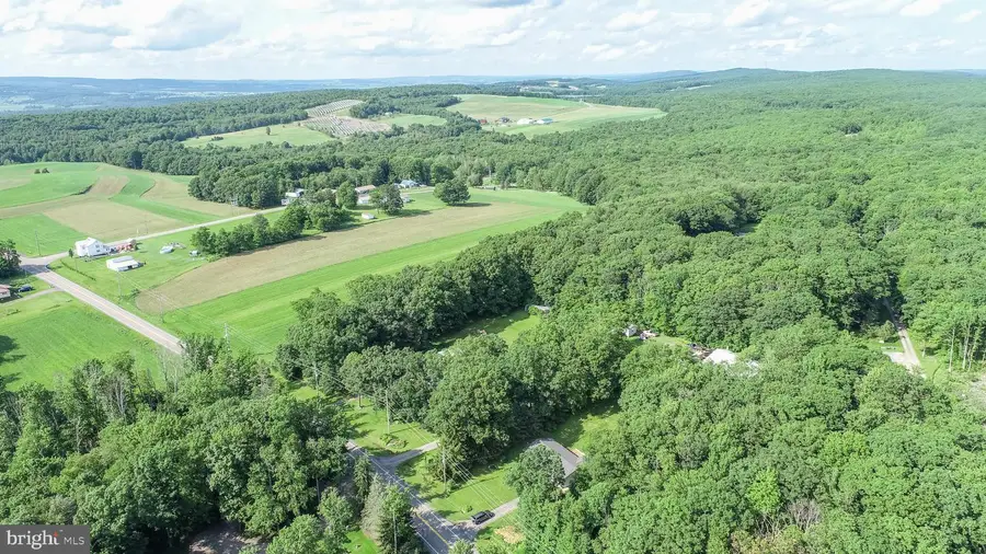 9556 New Germany Rd, Grantsville, MD 21536 - #3