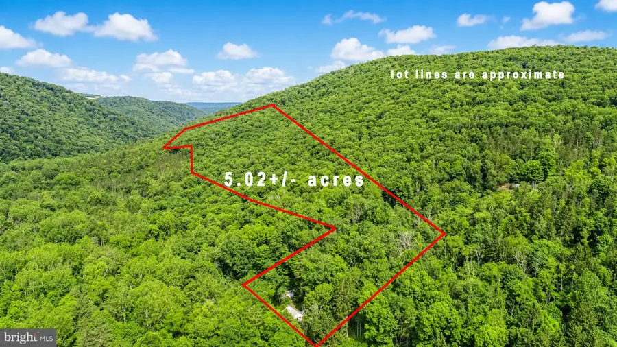 10805 Savage River Rd, Swanton, MD 21561 - #2