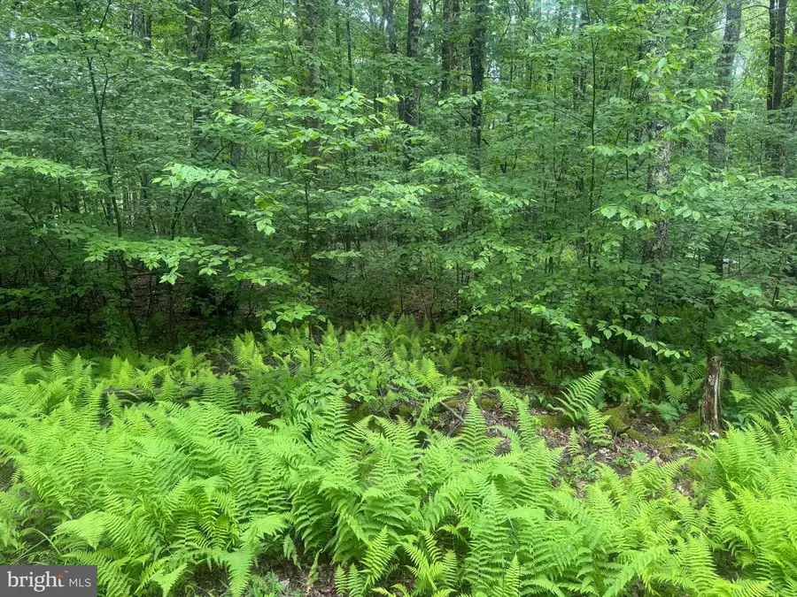Quentin Ln, Oakland, MD 21550 - #3