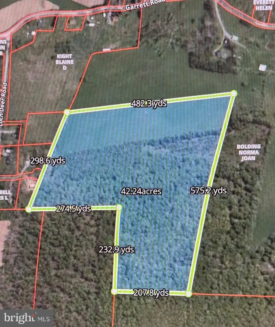 Lot B Loch Deer Road, Oakland, MD 21550 - #1