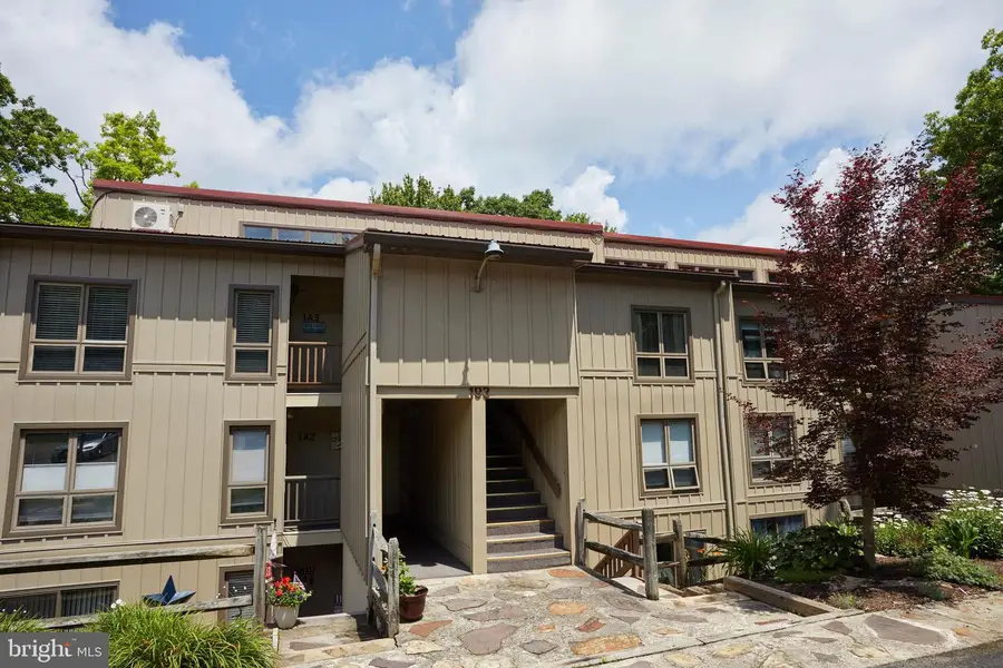 193 Red Run Rd #1-b-3, Oakland, MD 21550 - #3