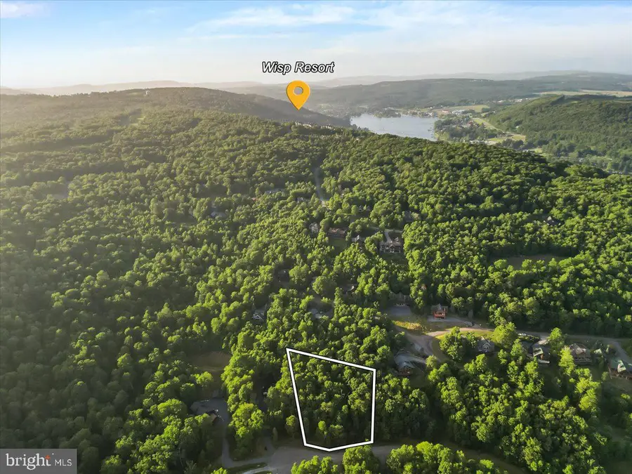 Lot 22 Marsh Hill Rd, McHenry, MD 21541 - #3