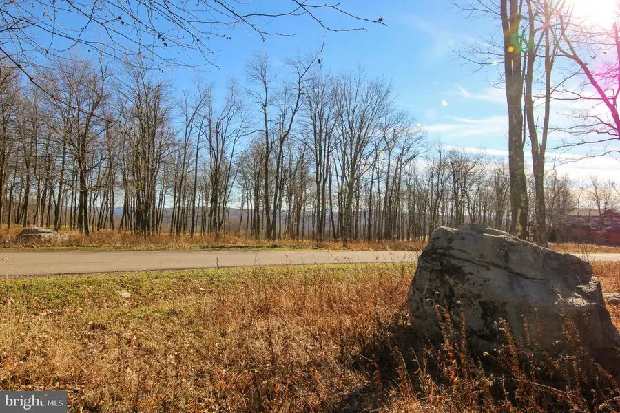 Lot 50 Biltmore Ridge Trl, 6 Sang Run, MD 21541 - #2