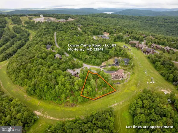 Lot 87 Lower Camp Rd, MC HENRY, MD 21541