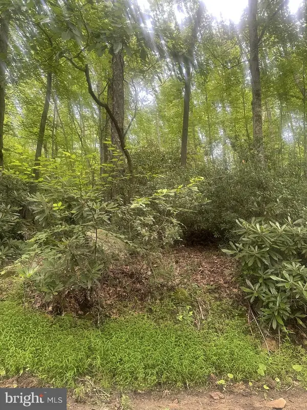 Bear Dr E, OAKLAND, MD 21550