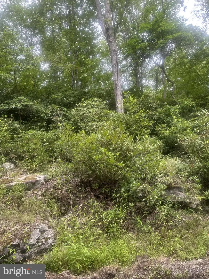 Bear Dr E, Oakland, MD 21550 - #2