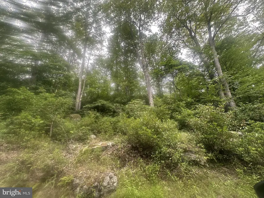 Bear Dr E, Oakland, MD 21550 - #3
