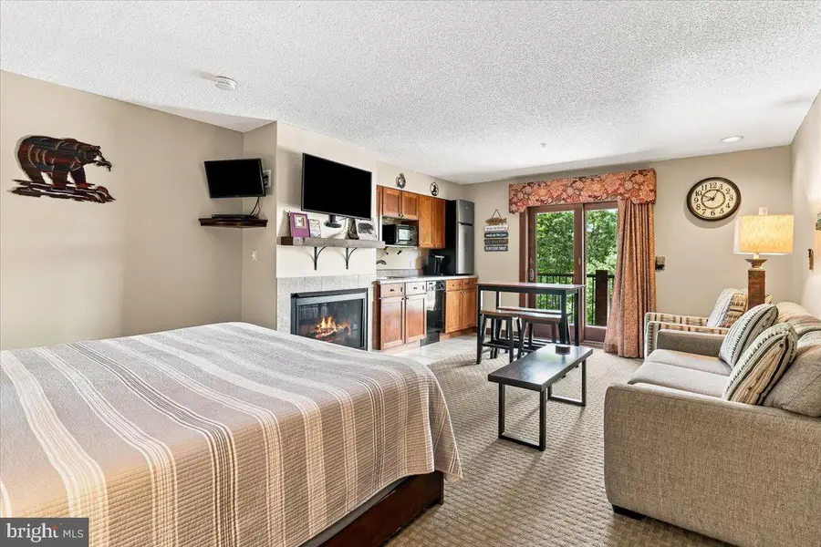565 Glendale Rd #213-a, Oakland, MD 21550 - #3