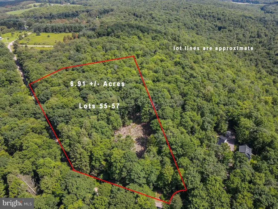 Lots 55-57 Scenic Dr, Grantsville, MD 21536 - #2