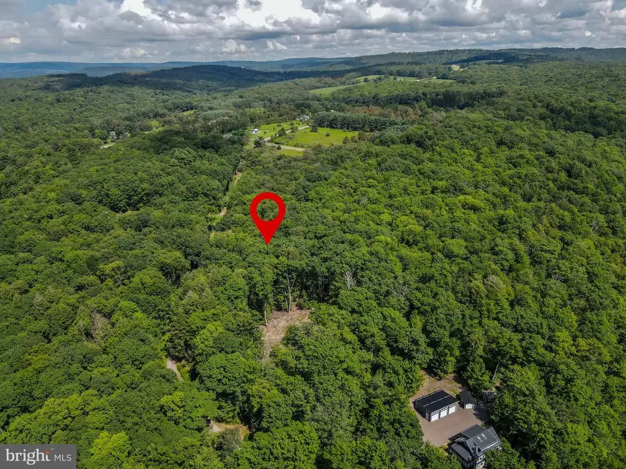 Lots 55-57 Scenic Dr, Grantsville, MD 21536 - #3