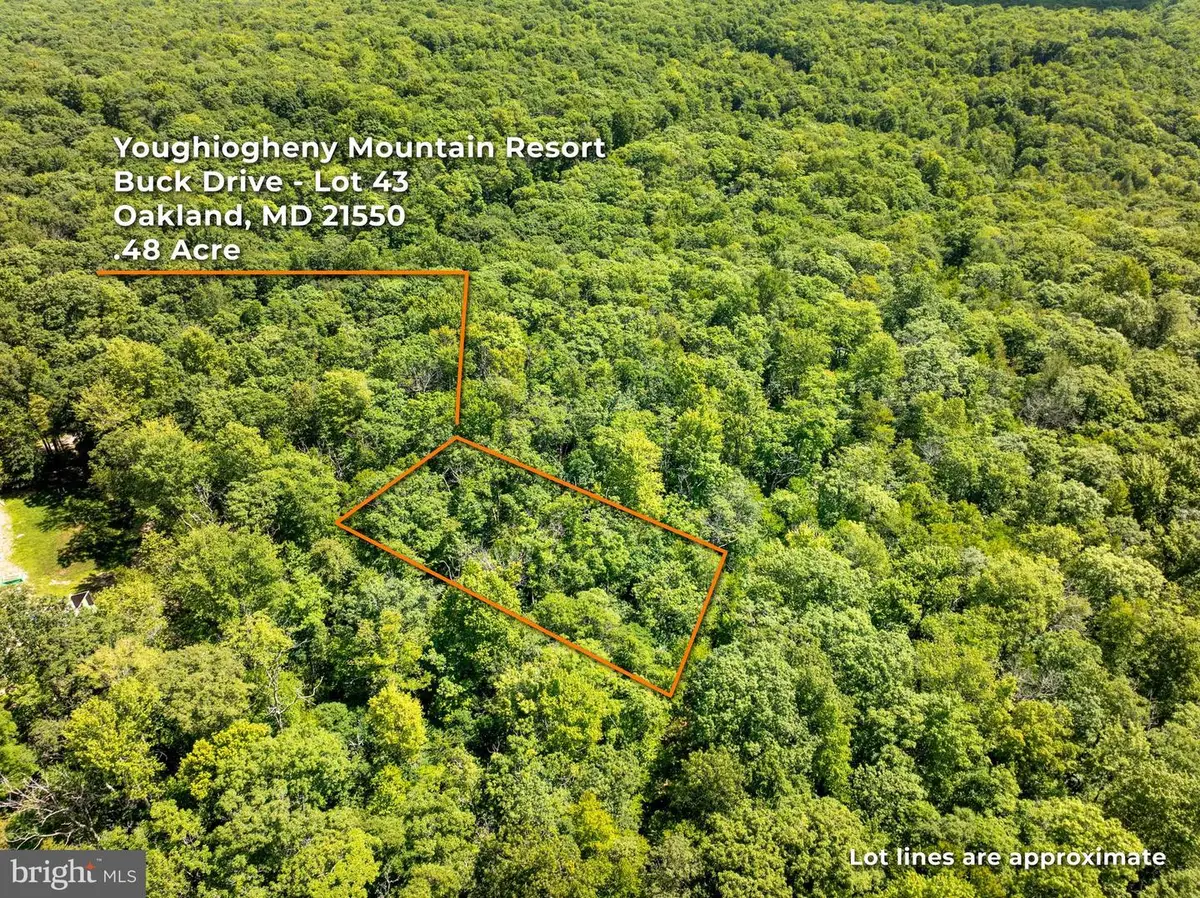 Grey Squirrel Rd, Oakland, MD 21550 - #1