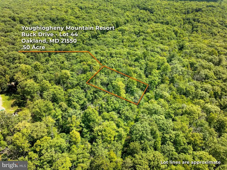 Grey Squirrel Rd, Oakland, MD 21550 - #2