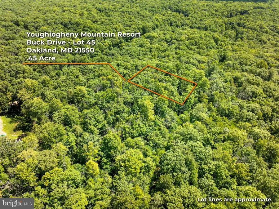 Grey Squirrel Rd, Oakland, MD 21550 - #3