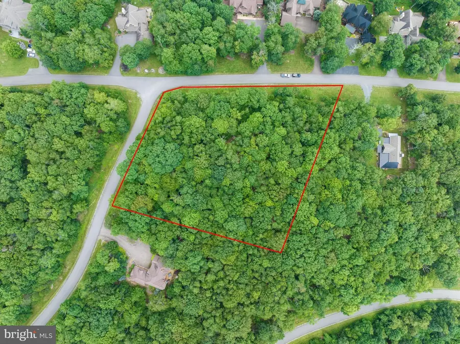 Lot 37 Deep Creek Highlands Rd, McHenry, MD 21541 - #2