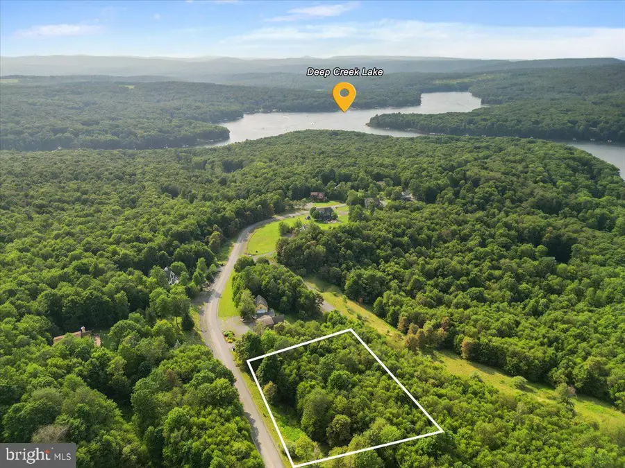 24 Woodlands Hill Lane, Oakland, MD 21550 - #2
