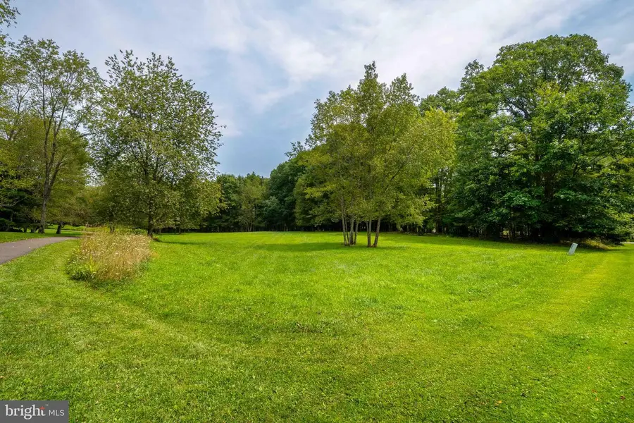 Lot 7 Heron Cv, Oakland, MD 21550 - #3