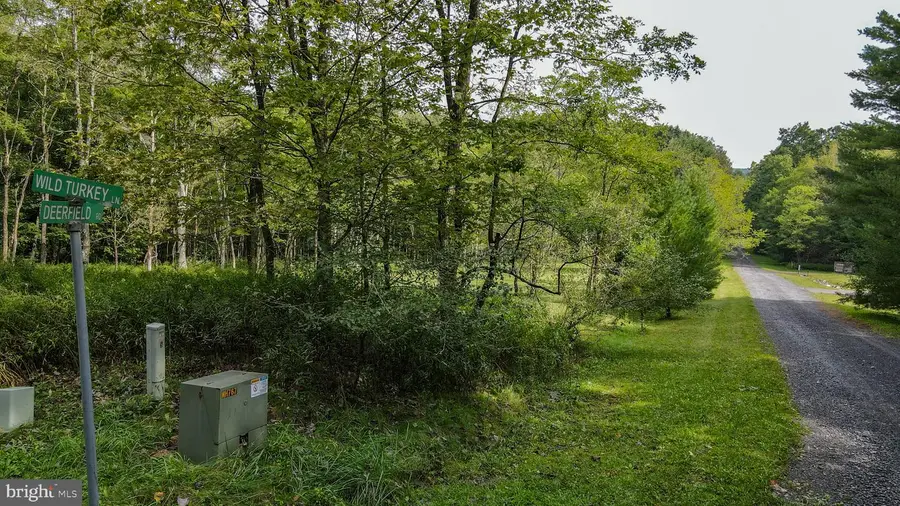 Wild Turkey Ln #lot 28, Oakland, MD 21550 - #3