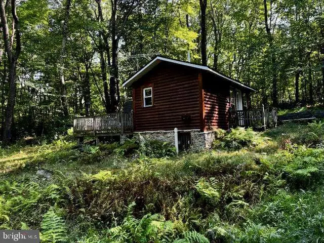 140 Hollis Beaulieu Rd, Friendsville, MD 21531 - #3