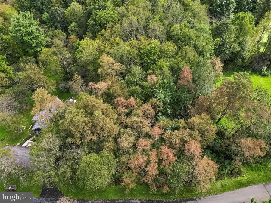 13 Laurel Court Ct, Oakland, MD 21550 - #2