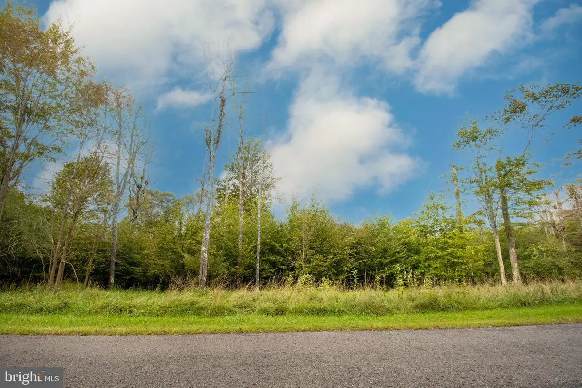 Lot 94 Lower Camp Rd, McHenry, MD 21541 - #1