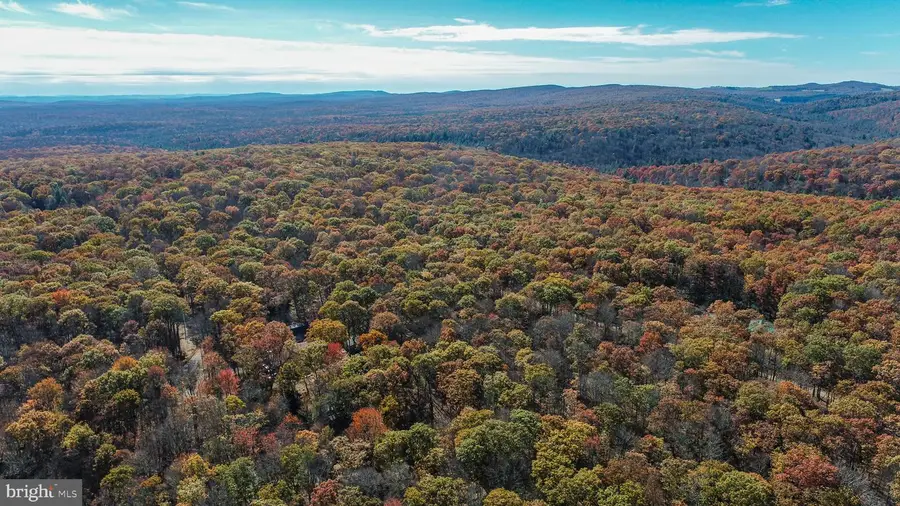 Cedar Ln, Oakland, MD 21550 - #3