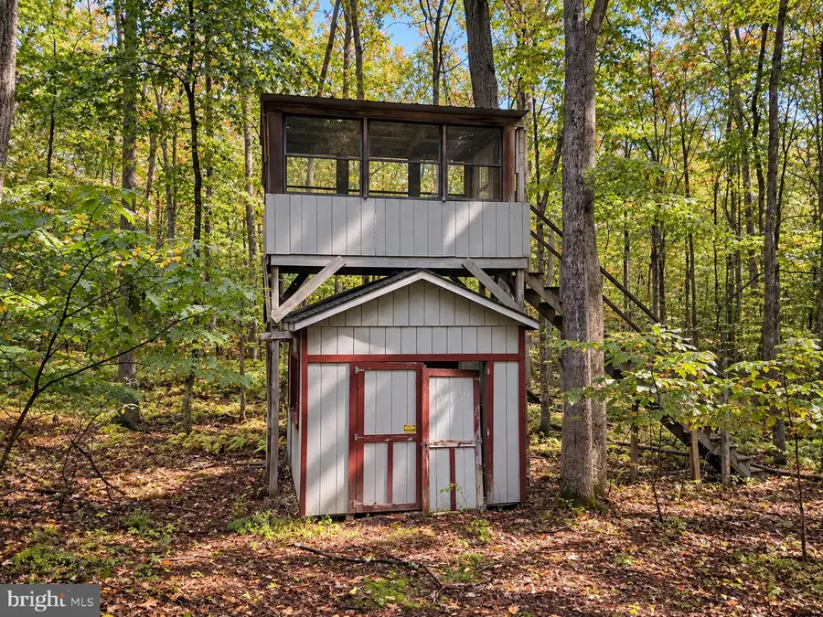 Amish Rd, Grantsville, MD 21536 - #3