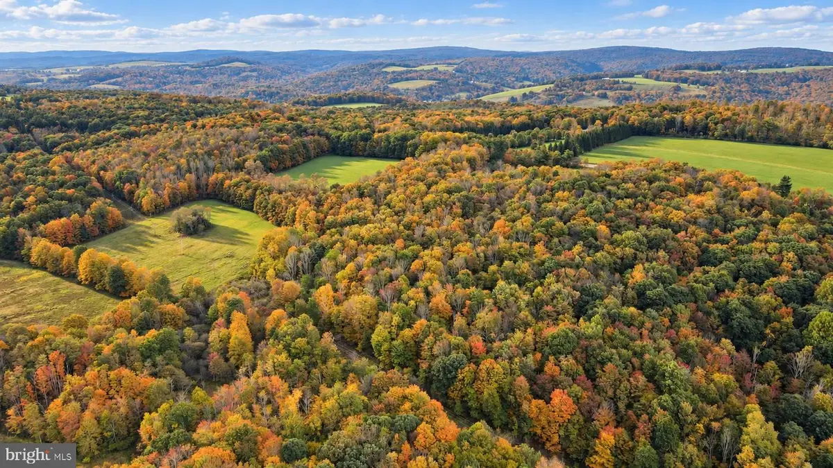 163.12 Acres Bittinger Rd, Grantsville, MD 21536 - #1