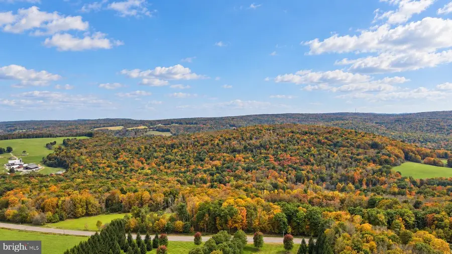 163.12 Acres Bittinger Rd, Grantsville, MD 21536 - #2