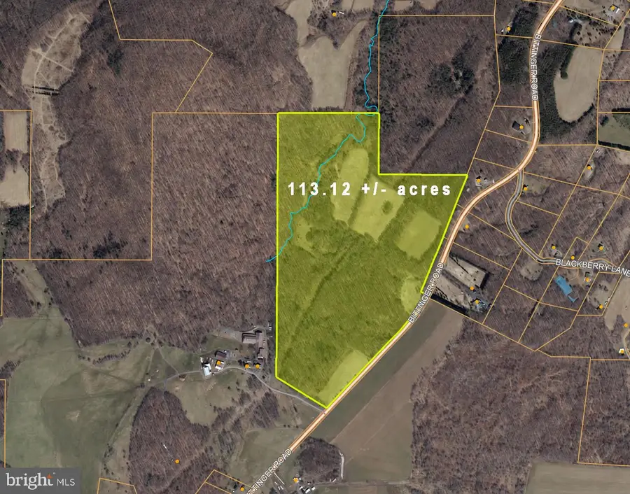 163.12 Acres Bittinger Rd, Grantsville, MD 21536 - #3