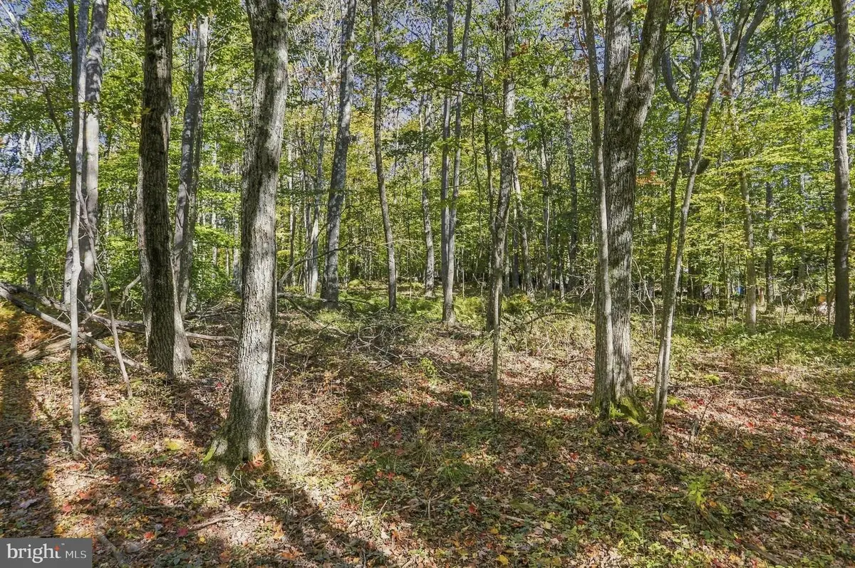 .94 Acres Mosser, McHenry, MD 21541 - #1