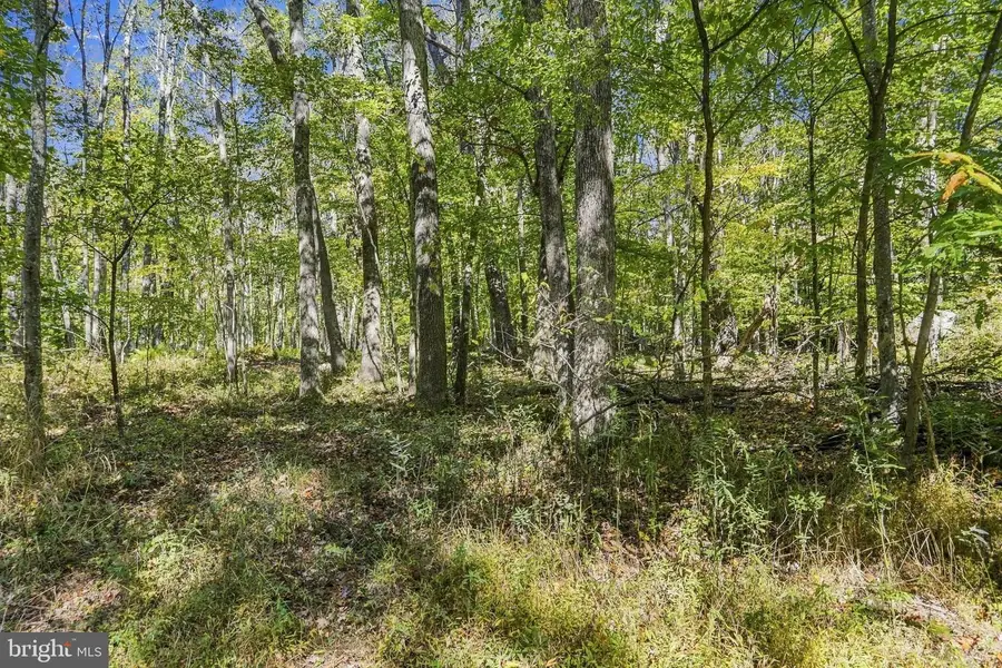 .94 Acres Mosser, McHenry, MD 21541 - #2