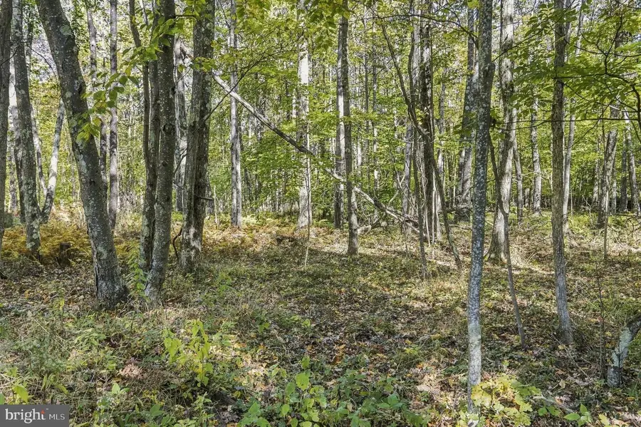 .94 Acres Mosser, McHenry, MD 21541 - #3