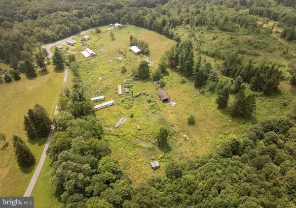 1055 Old Wilson Rd, SWANTON, MD 21561
