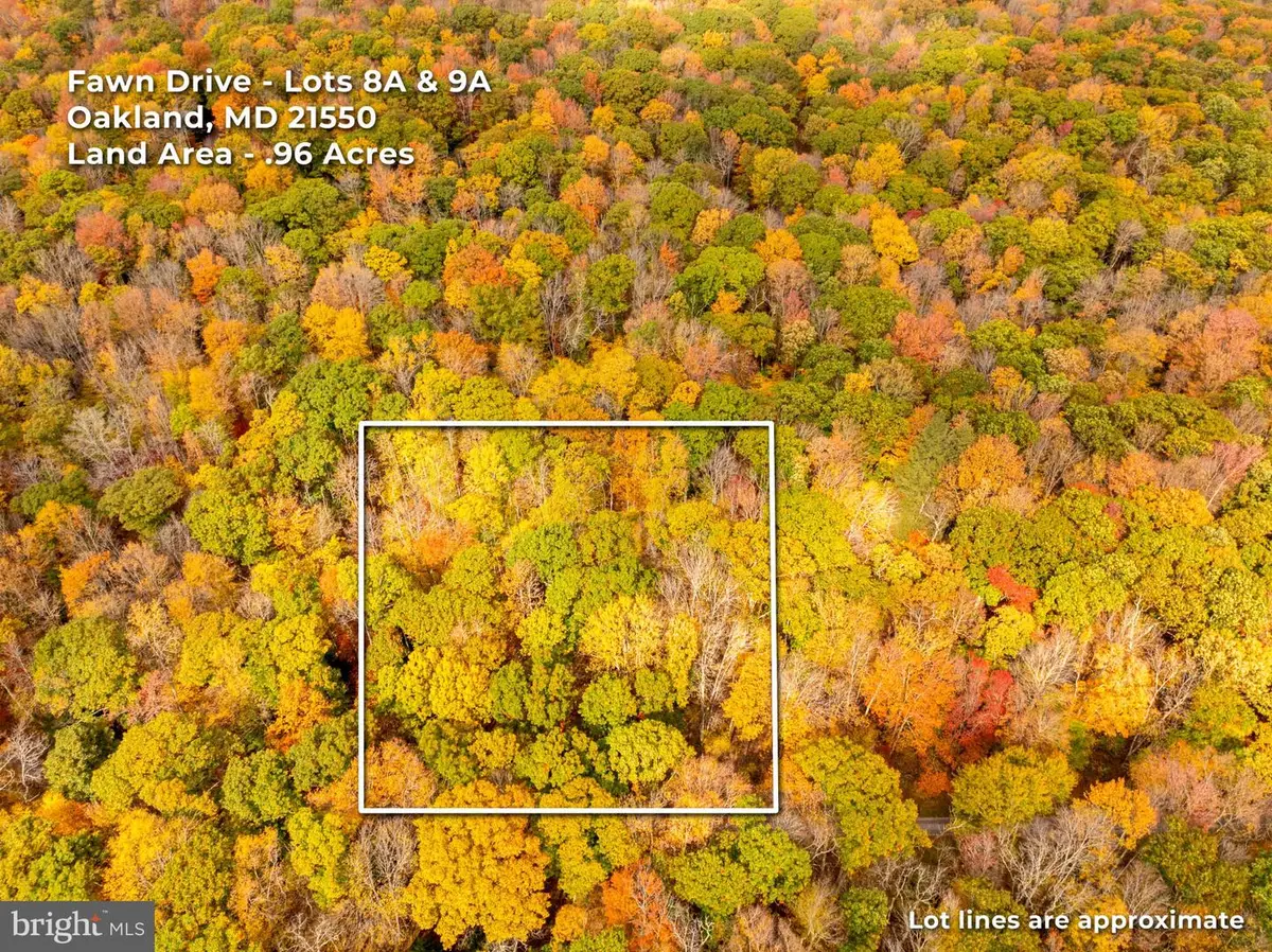 Fawn Dr, Oakland, MD 21550 - #1
