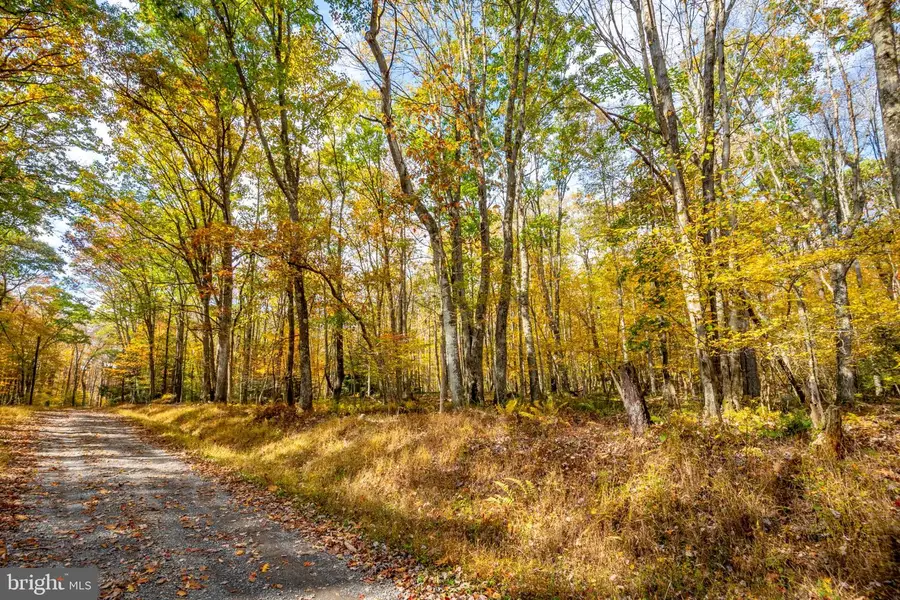Fawn Dr, Oakland, MD 21550 - #3
