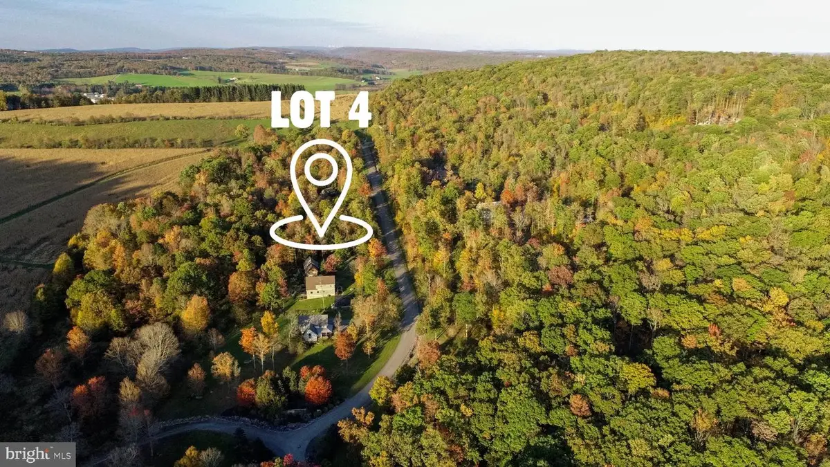 Lot 4 Golden Meadow Ln, McHenry, MD 21541 - #1