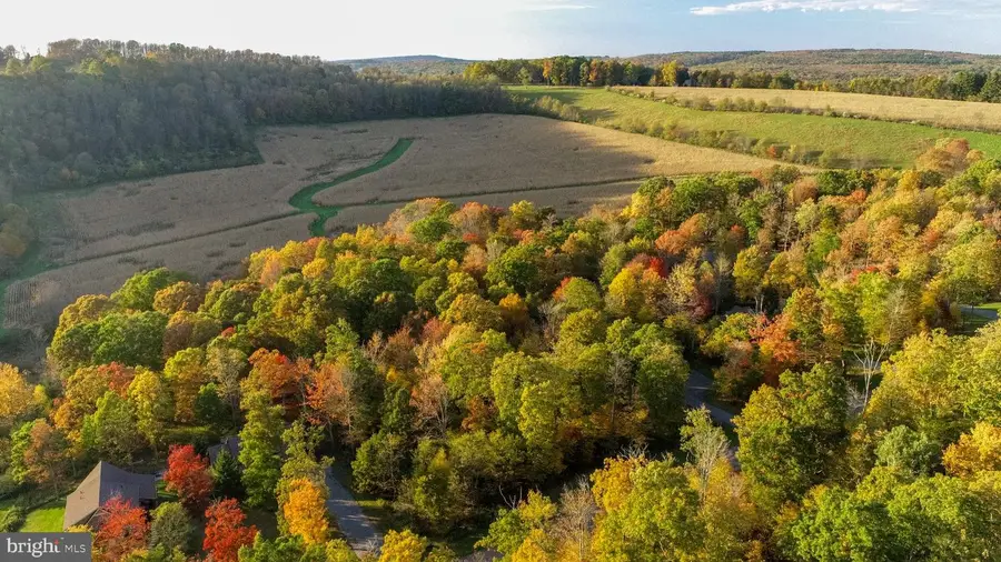 Lot 97 Birdsong Way, McHenry, MD 21541 - #3
