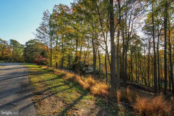 Lot 86 Falcon Way, MCHENRY, MD 21541