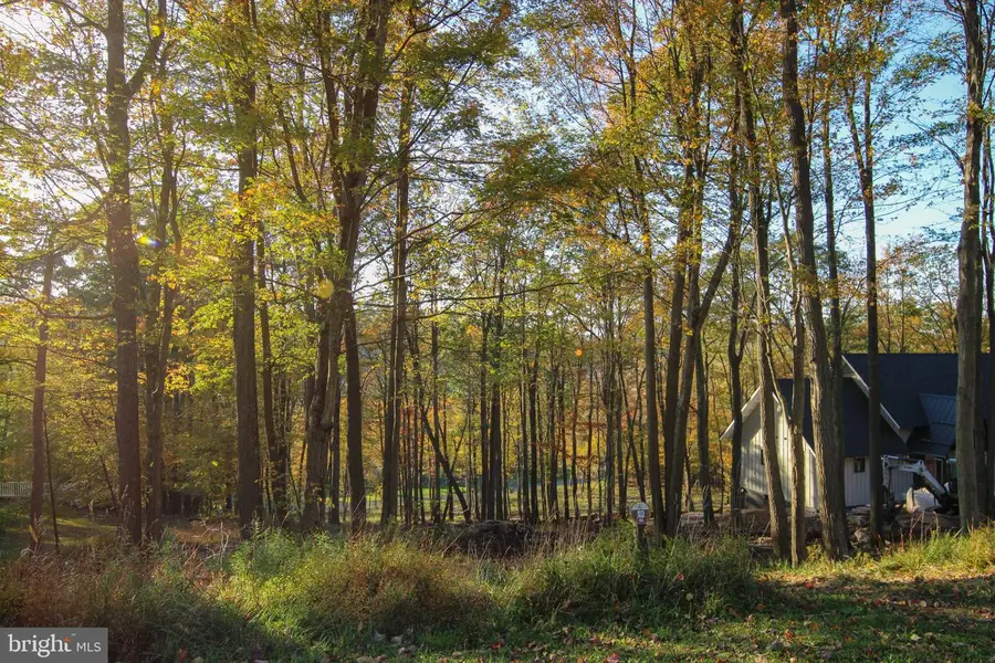 Lot 86 Falcon Way, McHenry, MD 21541 - #2