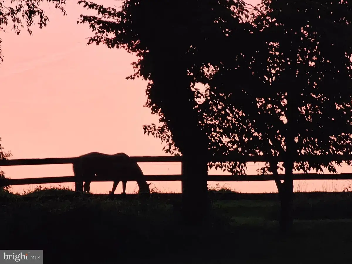 3054 Whiteford Rd, Pylesville, MD 21132 - #1