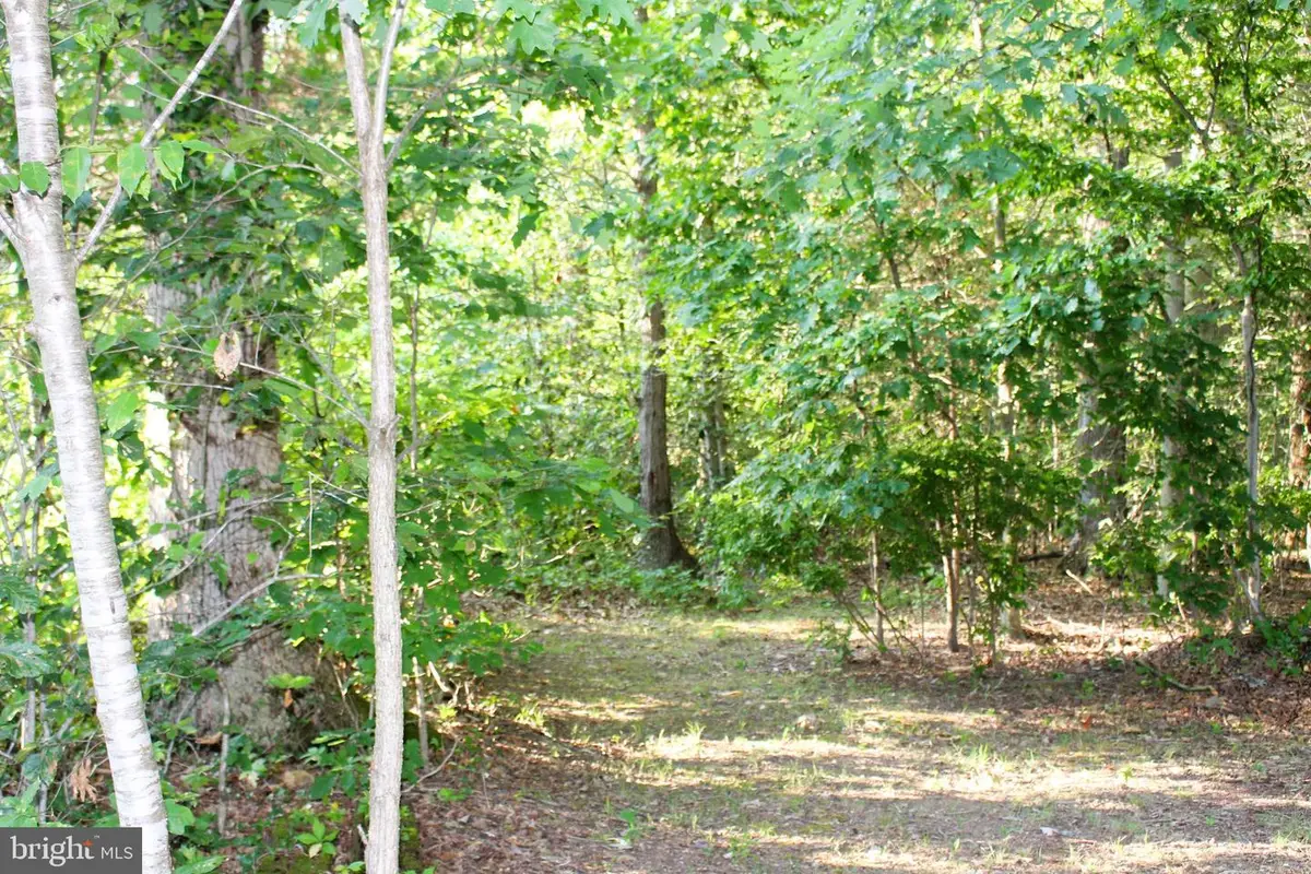 Mandeville Rd, Joppa, MD 21085 - #1