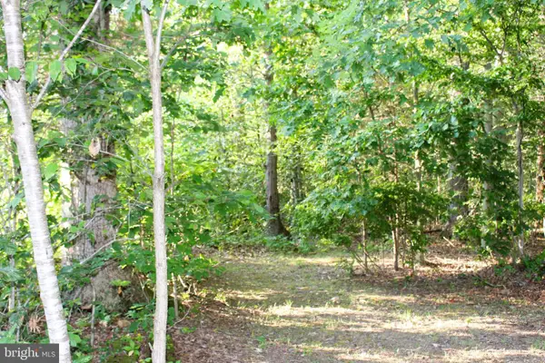 Mandeville Rd, JOPPA, MD 21085