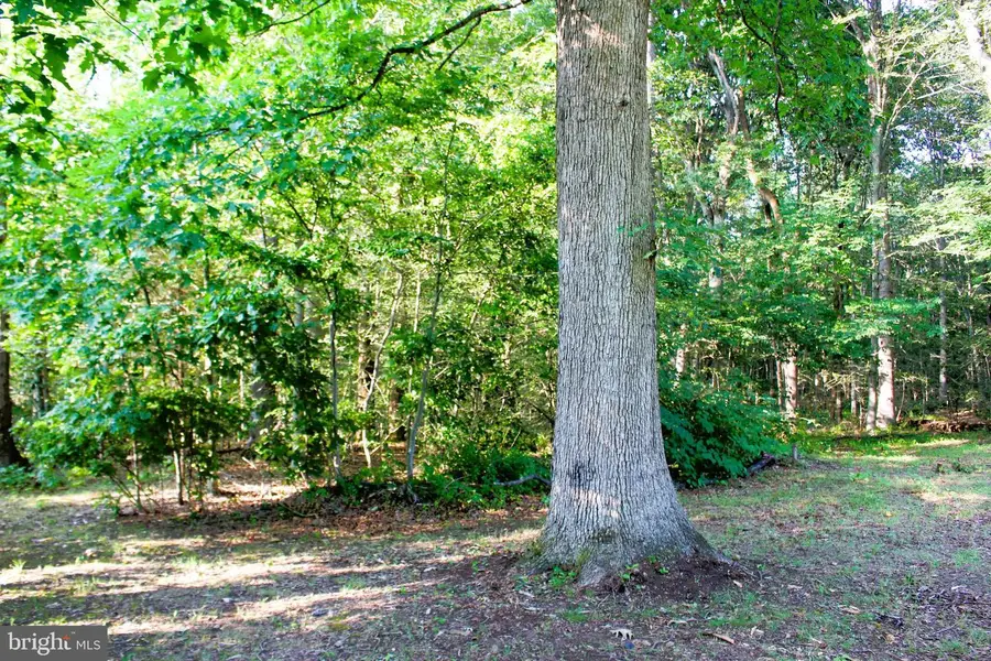 Mandeville Rd, Joppa, MD 21085 - #2