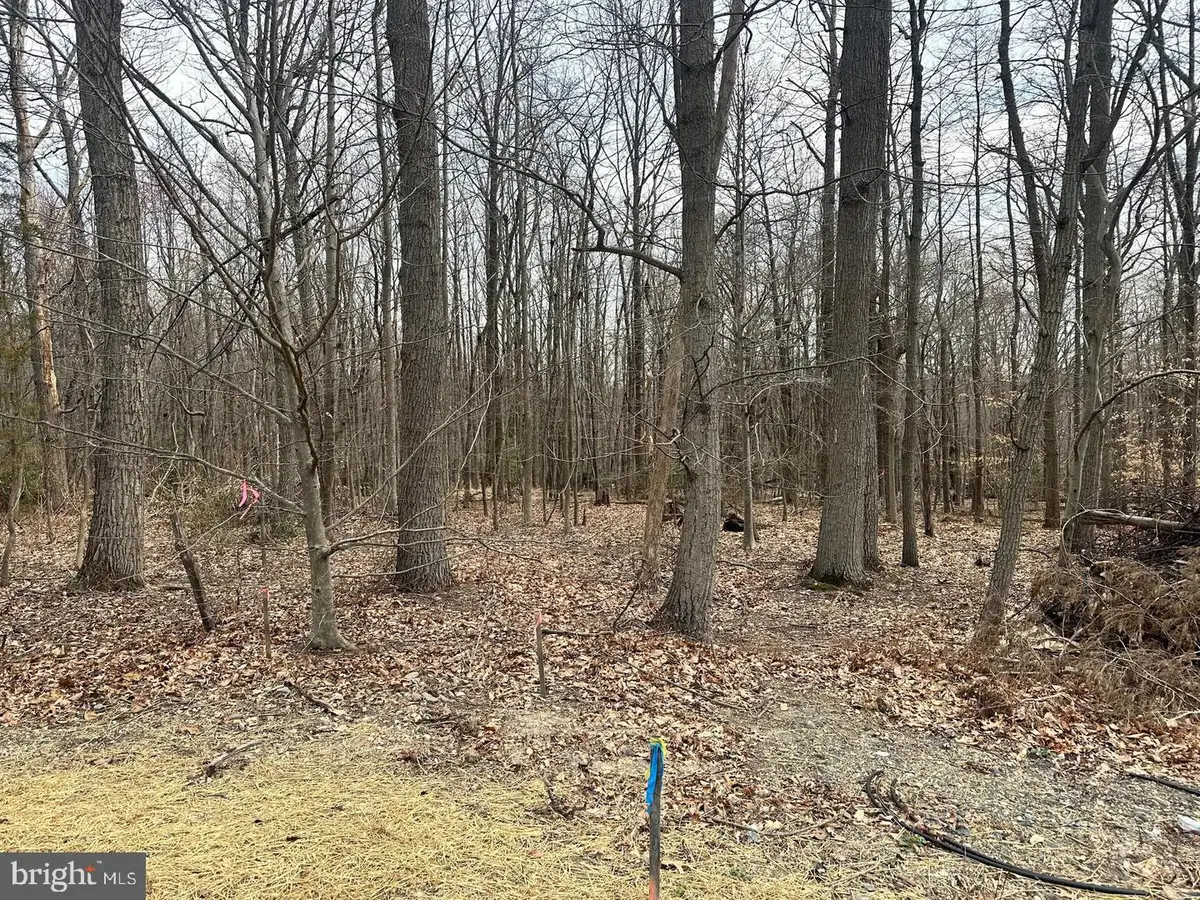 2507 Mountain Rd, Joppa, MD 21085 - #1