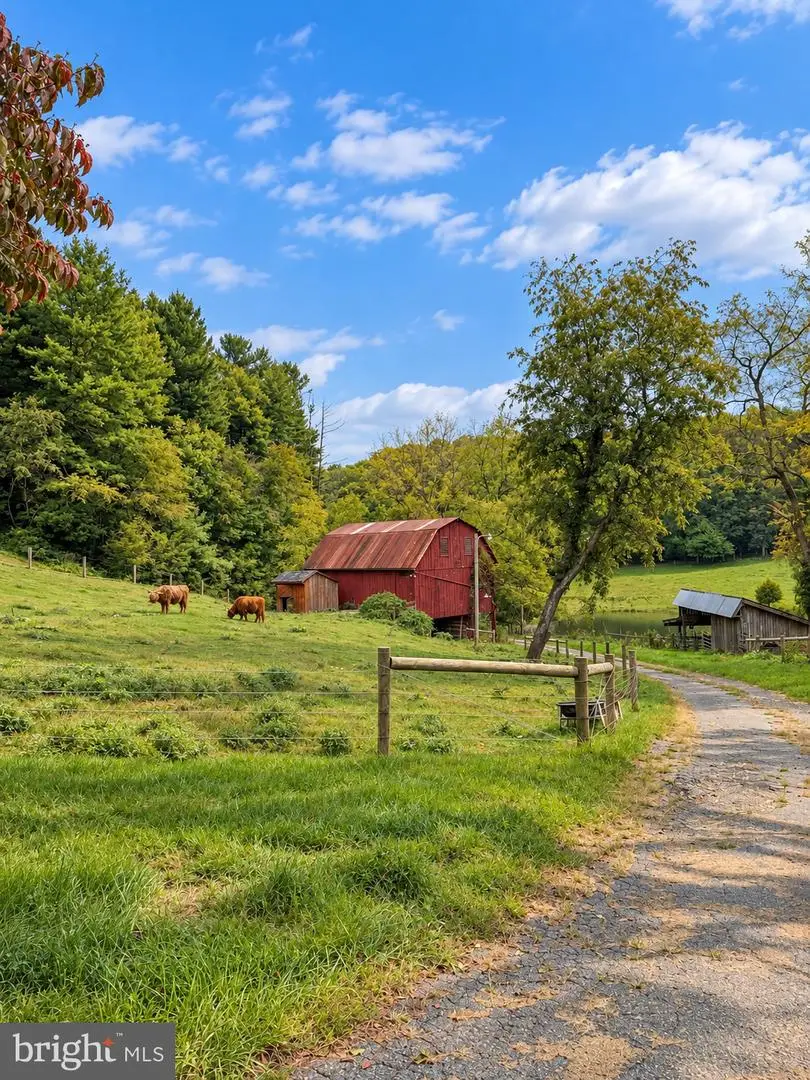 4200 Little Rd, Whiteford, MD 21160 - #3