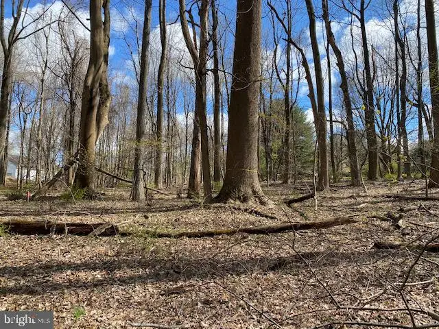 #3