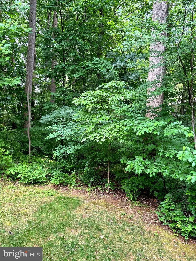 5351 High Wheels Ct, Columbia, MD 21044 - #3