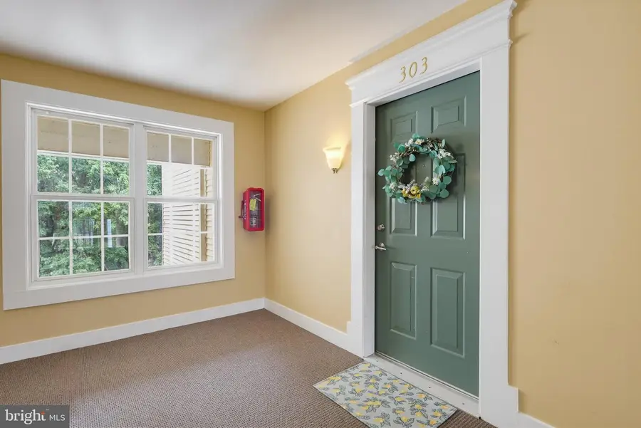 9111 Gracious End Court, Gracious End Court Ct #303, Columbia, MD 21046 - #3