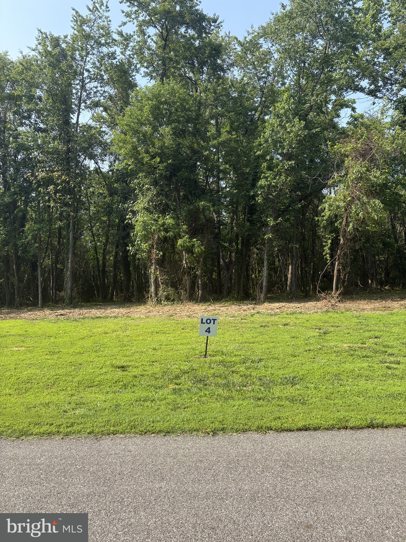 4 Wilson Point Rd, Galena, MD 21635 - #1